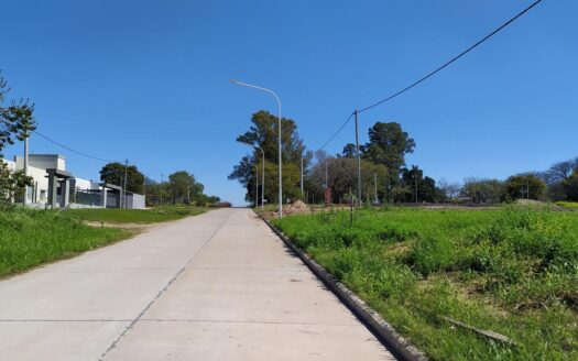 Loteo Villa Elsa. Lotes desde 500m2