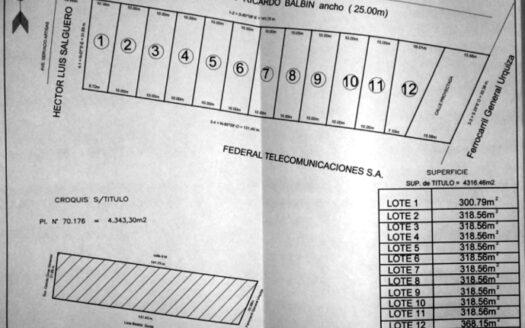 Lotes en calle Ricardo Balbin