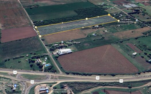 Importante Has en Venta