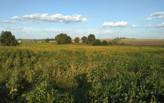Aldea Salto – 480×50 (24.000m2) – a 100 mts Aldea sobre ingreso Brosa