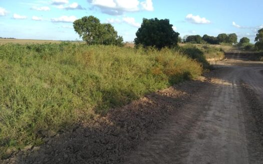 Aldea Salto – 480×50 (24.000m2) – a 100 mts Aldea sobre ingreso Brosa