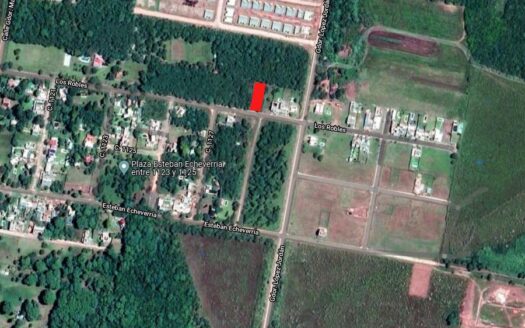 Los Robles y Lopez Jordan – 750m2