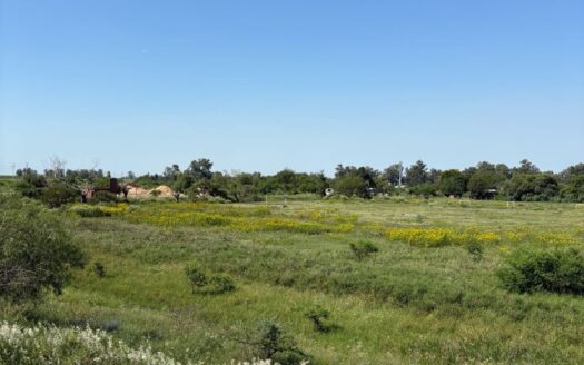 Venta Gran Lote en Colastiné Santa Fe – Ideal Inversión