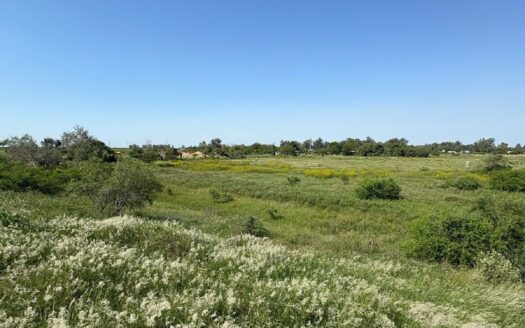 Venta Gran Lote en Colastiné Santa Fe – Ideal Inversión