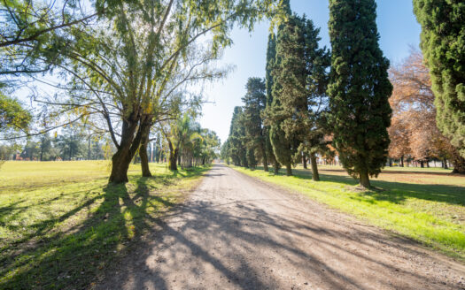 Venta Lotes – Country Los Molinos
