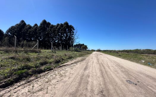 Terreno estratégico en Venta en Jorge Luis Borges y Brown.