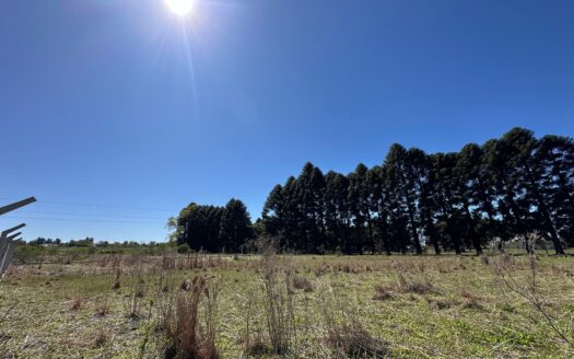 Terreno estratégico en Venta en Jorge Luis Borges y Brown.