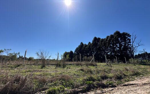 Terreno estratégico en Venta en Jorge Luis Borges y Brown.