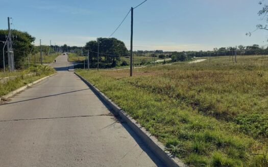 Lebenshon y Baez. Lotes En Venta Lapachos 3!