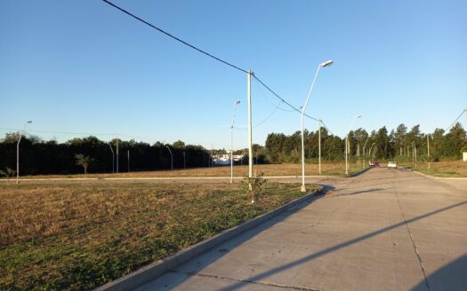 Lebenshon y Baez. Lotes En Venta Lapachos 3!