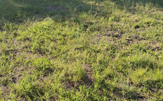 Guido Mariza. Terreno en Villa Hernandarias