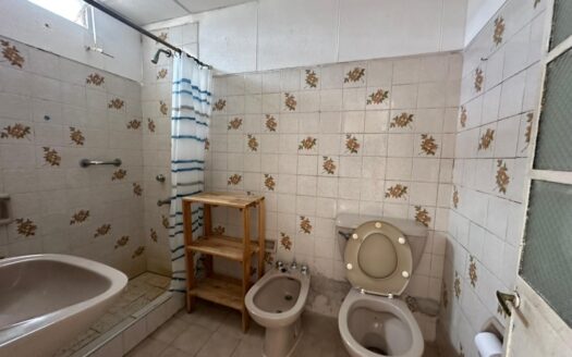 Remedios De Escalada de San Martin 873