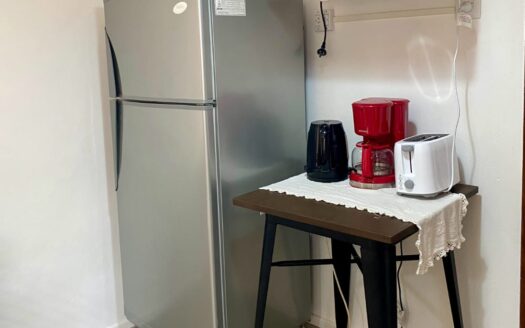 Casa Planta alta / Temporario – Mitre 217