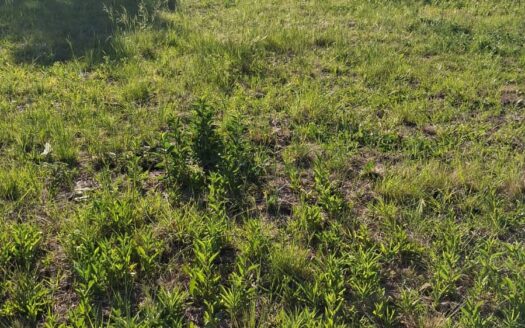 Guido Mariza. Terreno en Villa Hernandarias