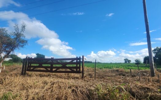 Gran Terreno en Venta