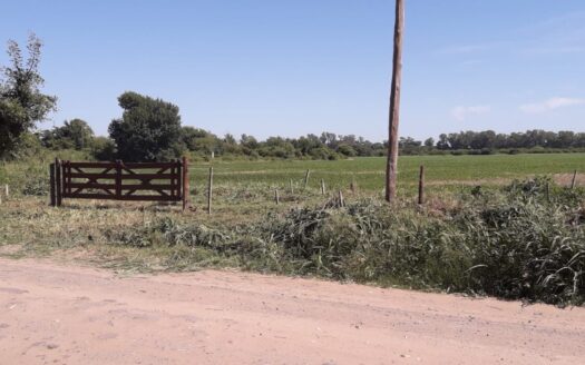 Gran Terreno en Venta