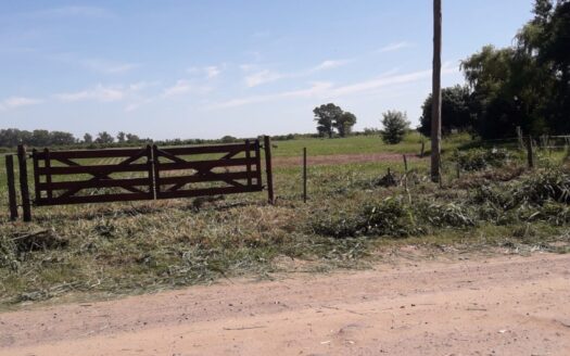 Gran Terreno en Venta