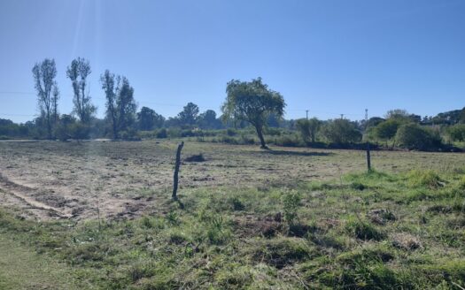 Terreno En San Jose Del Rincon