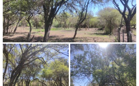 Lotes en venta en General Alvear, Entre rios.